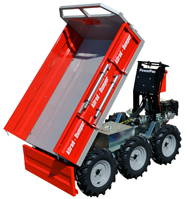 Allrad-Caddy AC600P